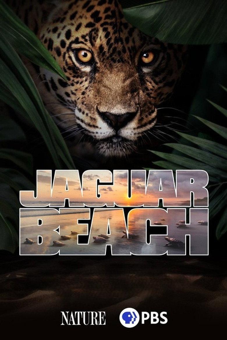 Jaguar Beach