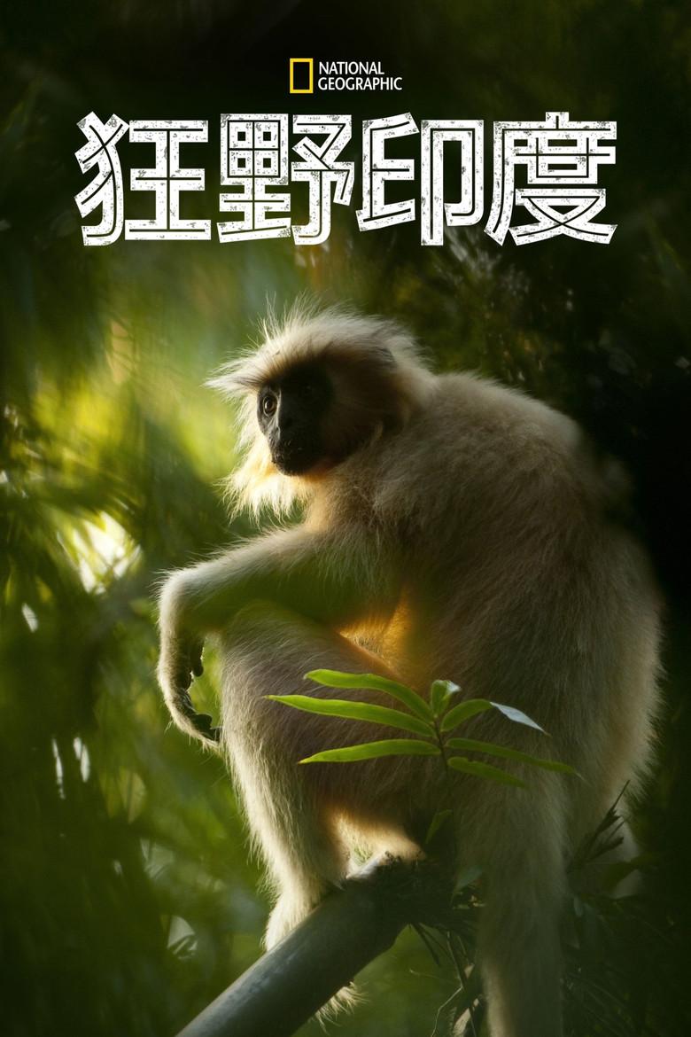 国家地理:狂野印度