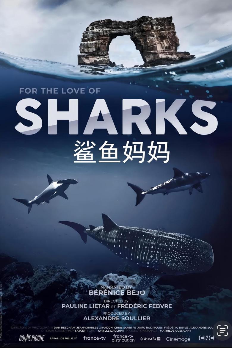 鲨鱼妈妈