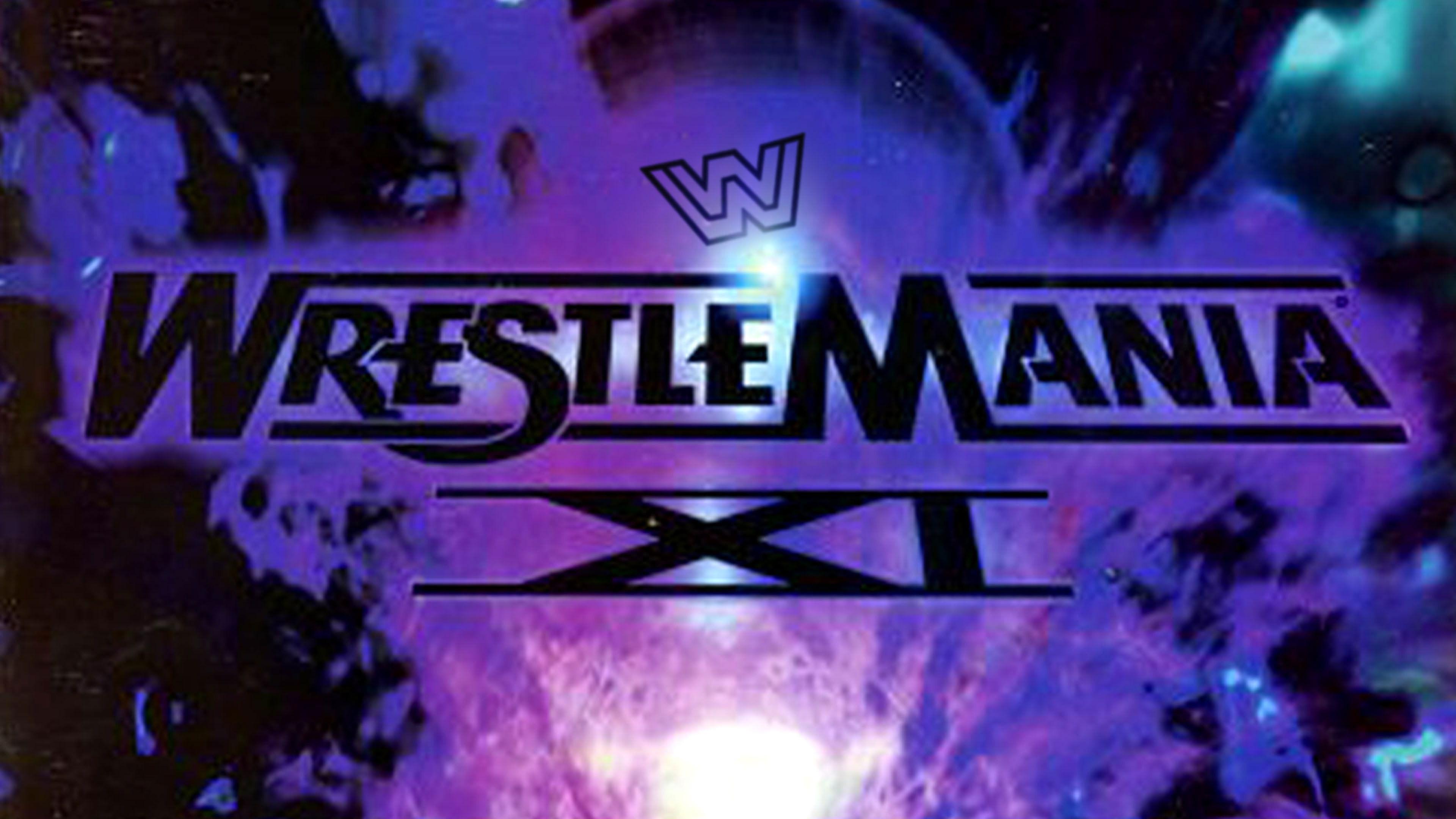 WWE 摔角狂热 11