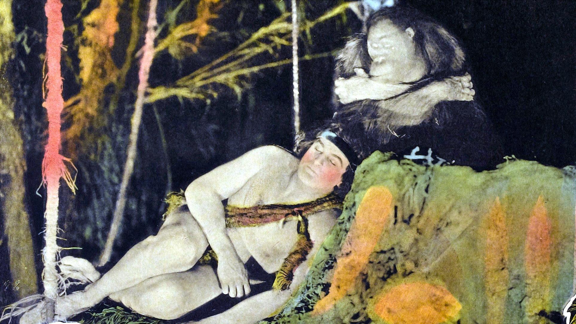 泰山的冒险