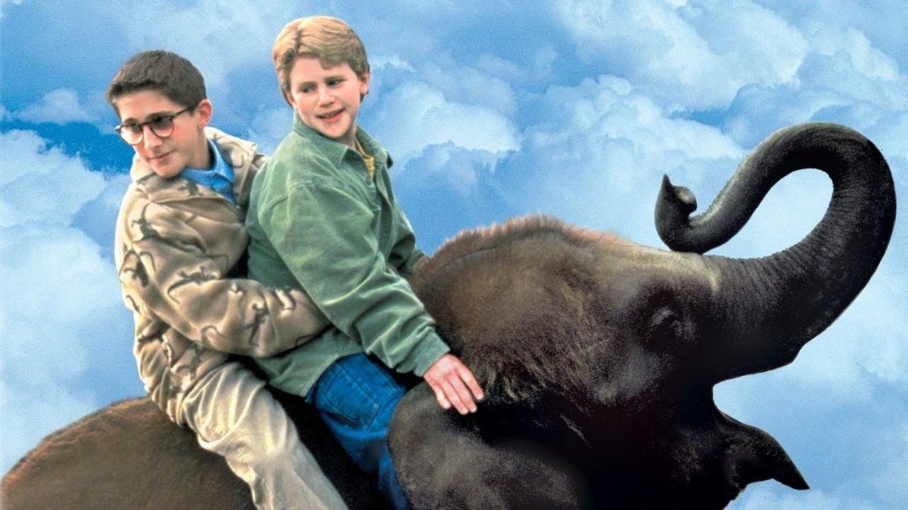 The Impossible Elephant