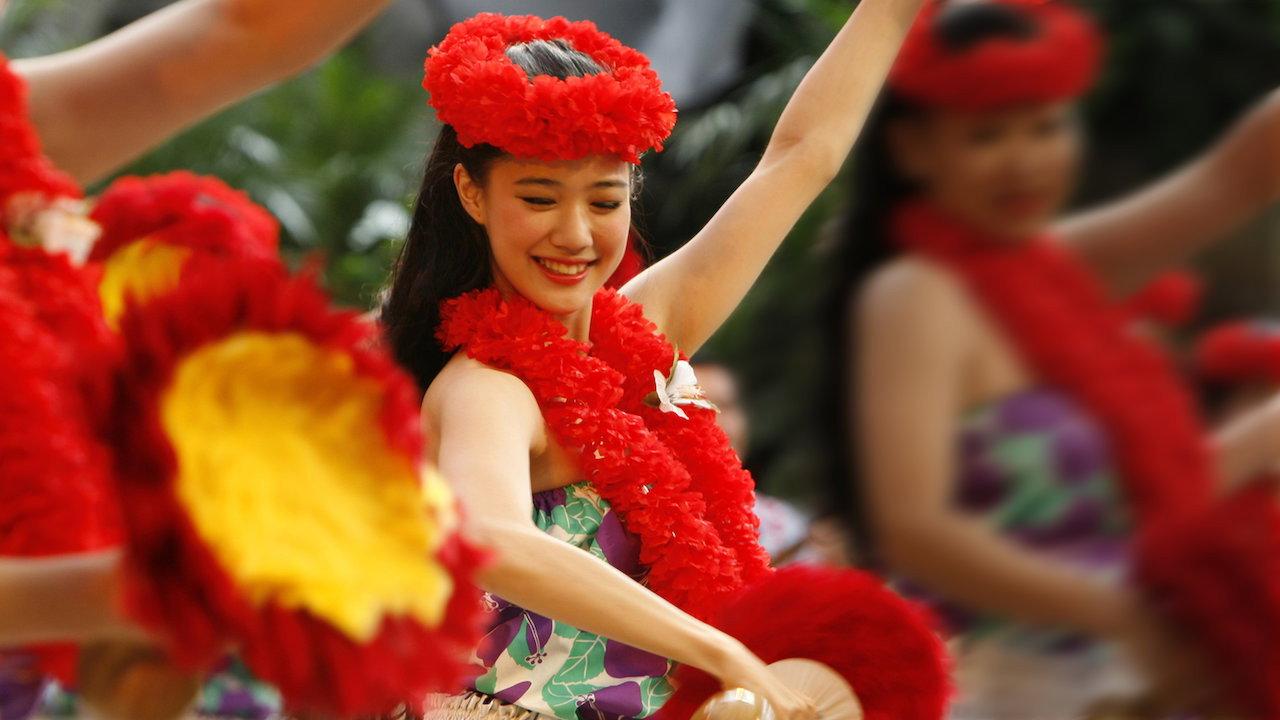 扶桑花女孩