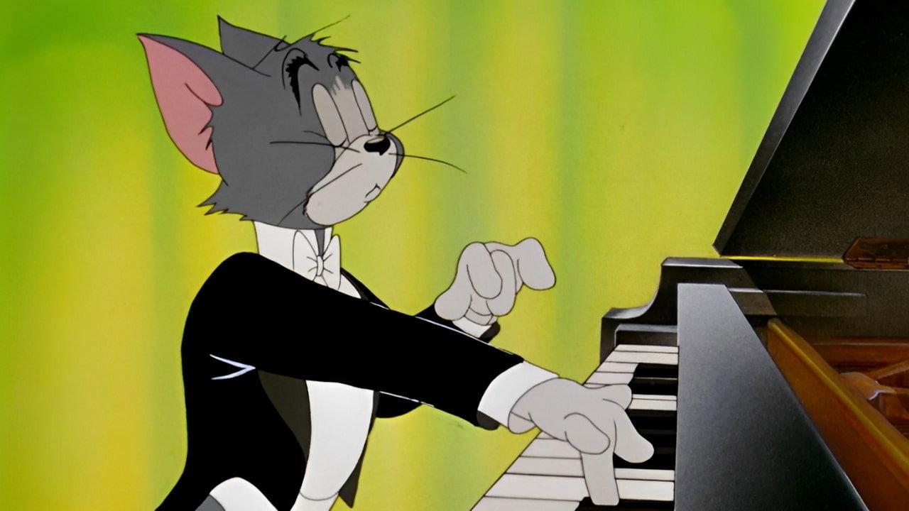 猫儿协奏曲
