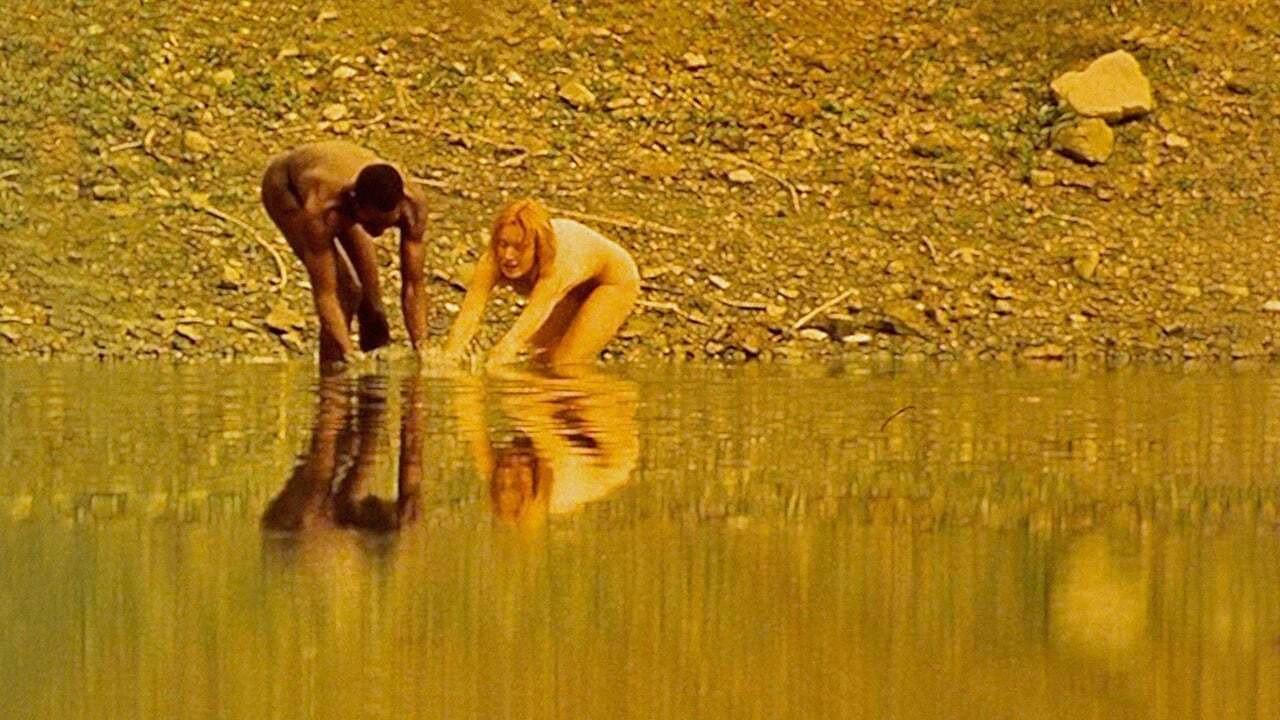 迷失禁果