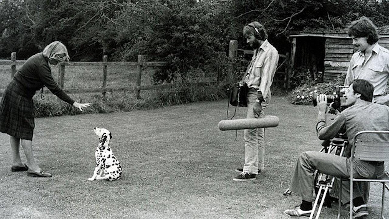 Training Dogs the Woodhouse Way