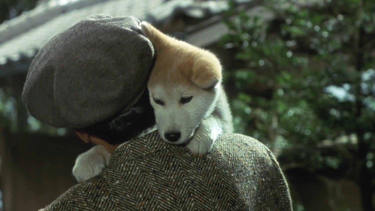 忠犬八公物语