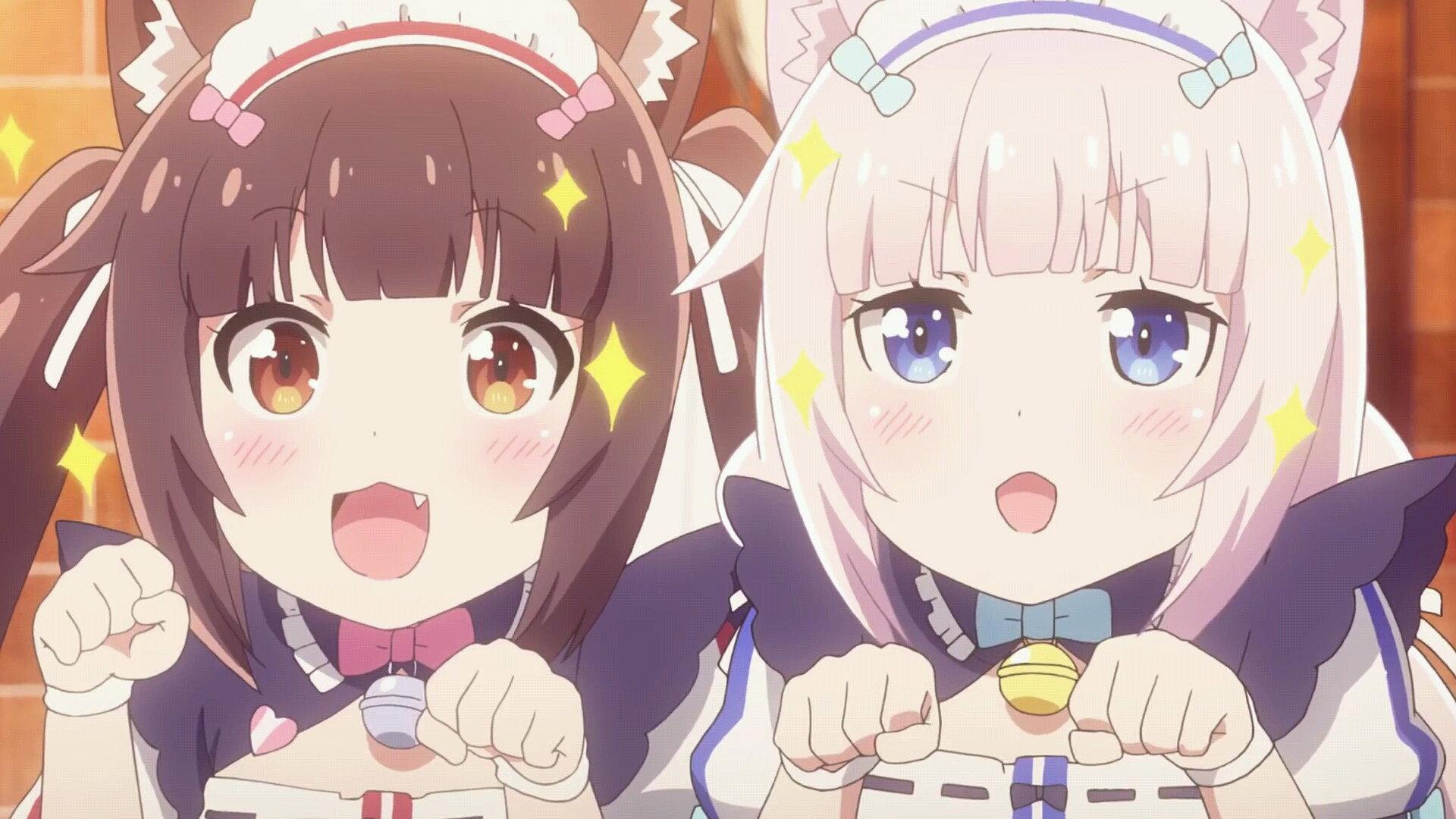 猫娘乐园