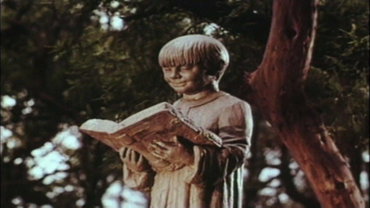 El libro de piedra