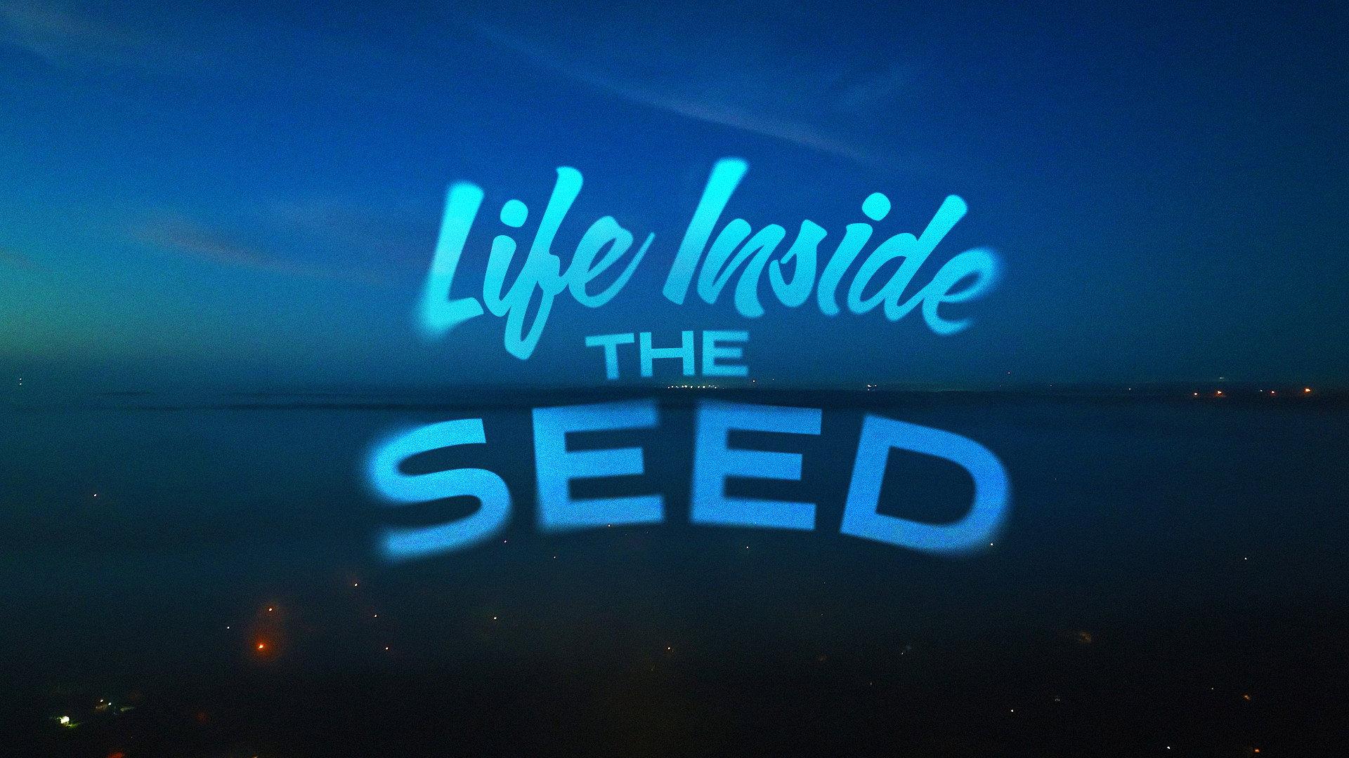 Life Inside the Seed