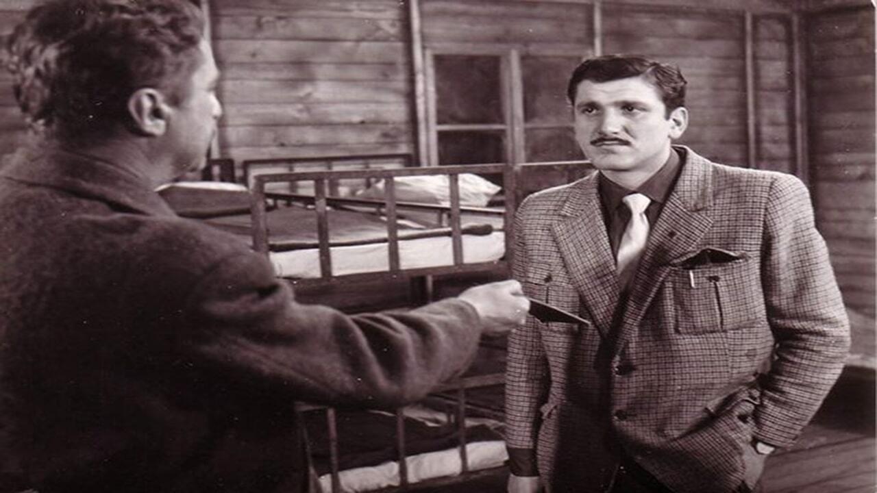 Uzavreli grad