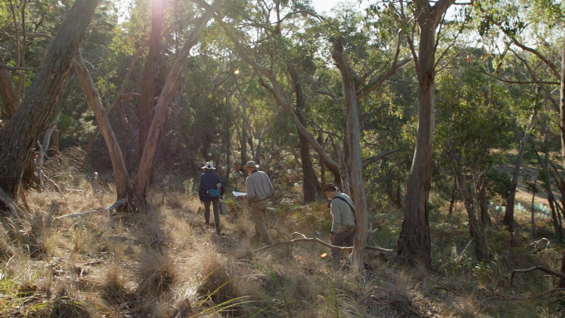 Saving Spring Creek Valley