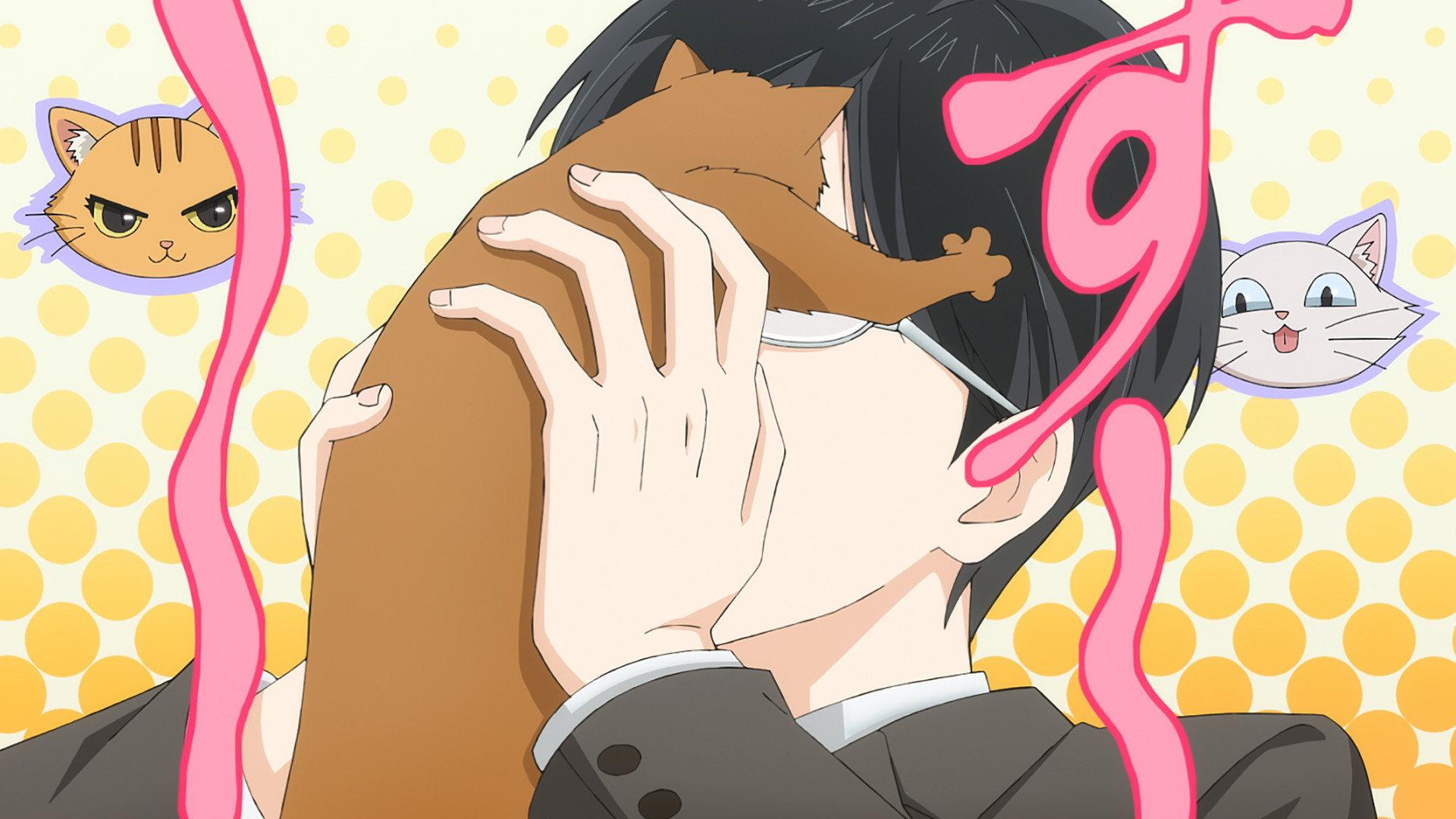 想变成猫的田万川君