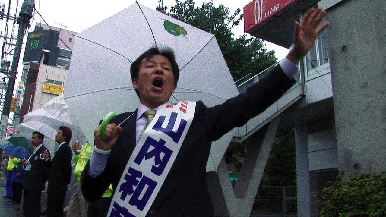 完全选举手册