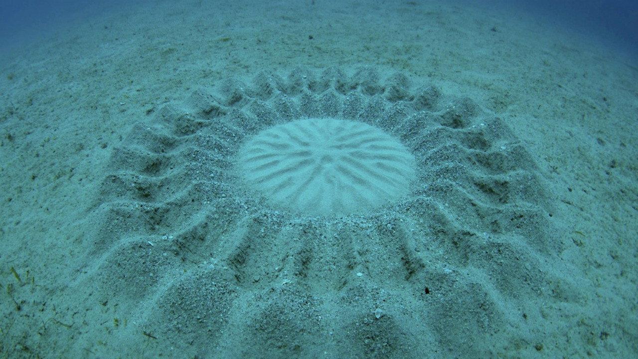Cap Corse - Le mystère des anneaux