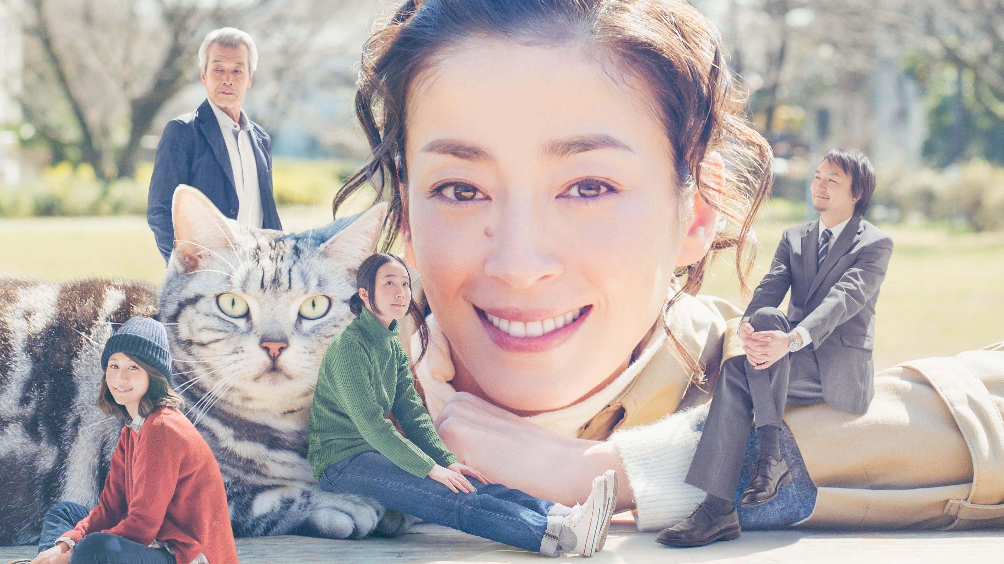咕咕是一只猫