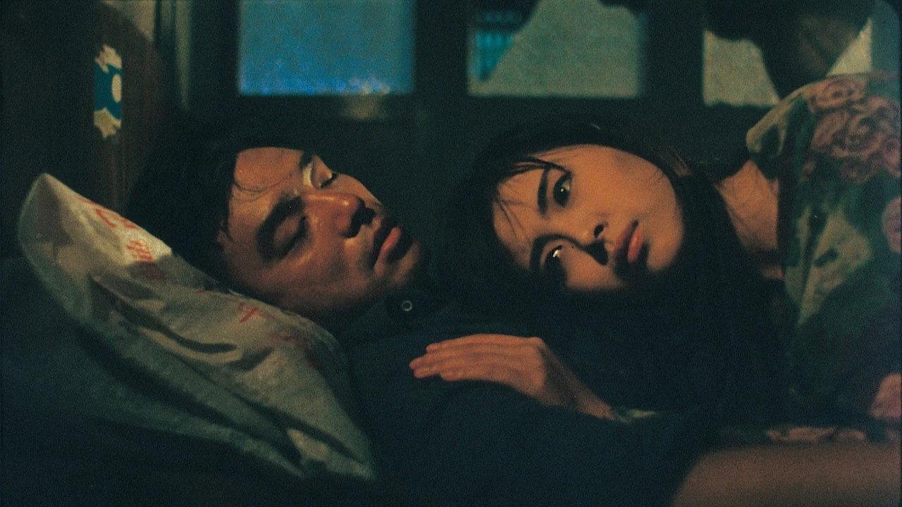 杀手蝴蝶梦