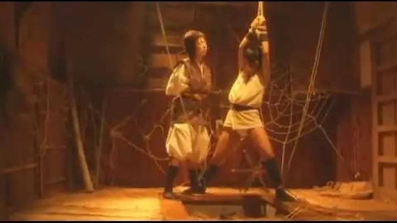 真田女忍者霞传6:内乱,幸村暗杀