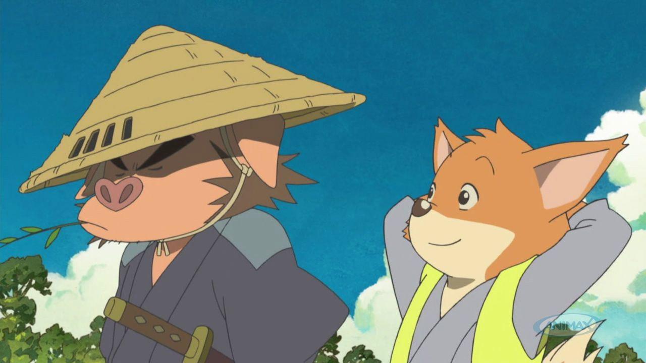 侠猪布塔