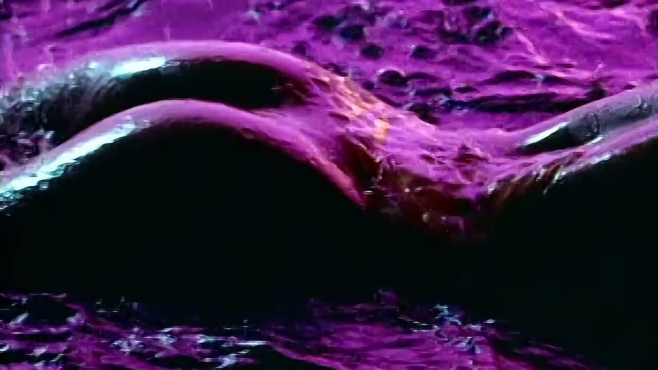 花花公子:潮湿与狂野