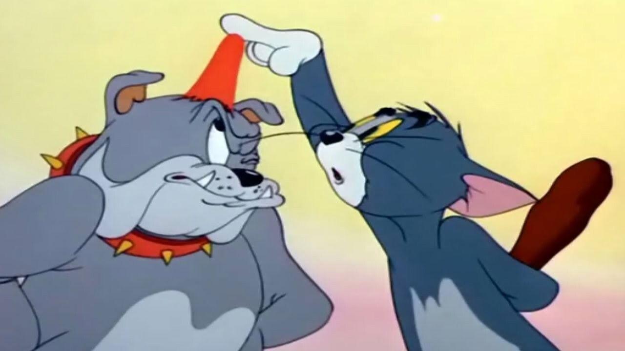 猫儿钓鱼记
