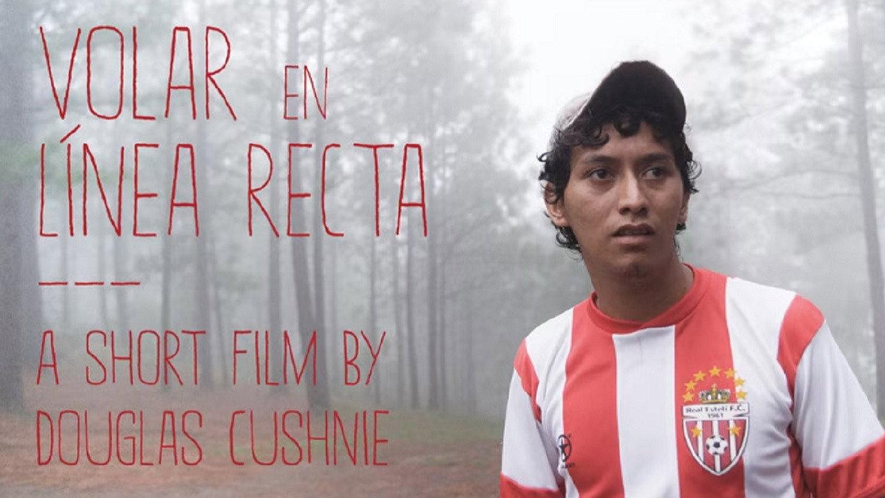 Volar en línea recta