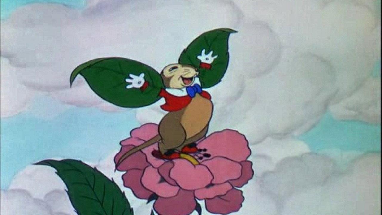 飞行鼠