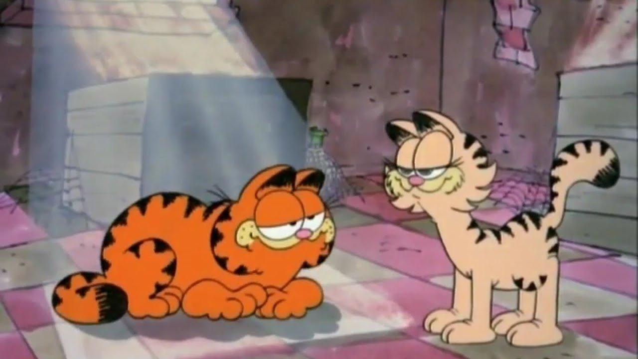 加菲猫进城