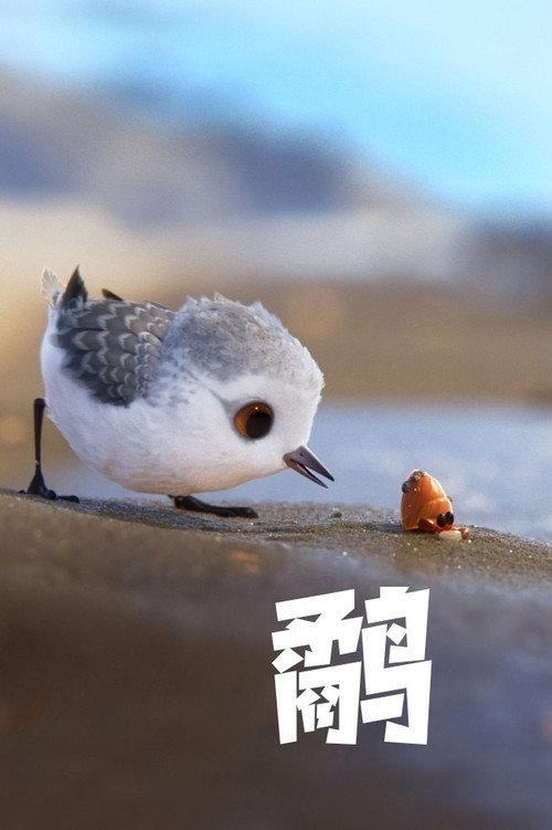 鹬