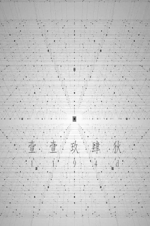 1194D