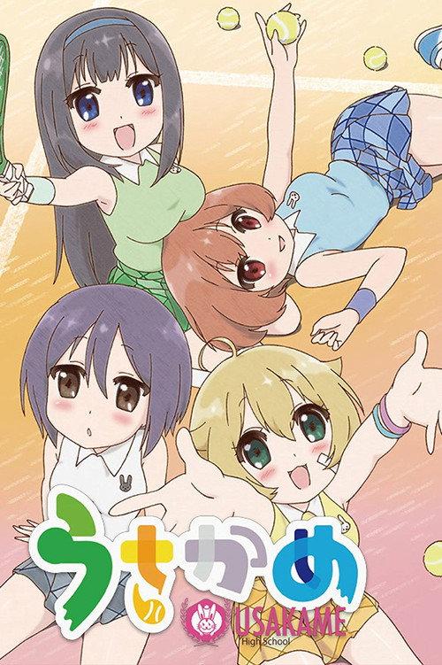 兔龟