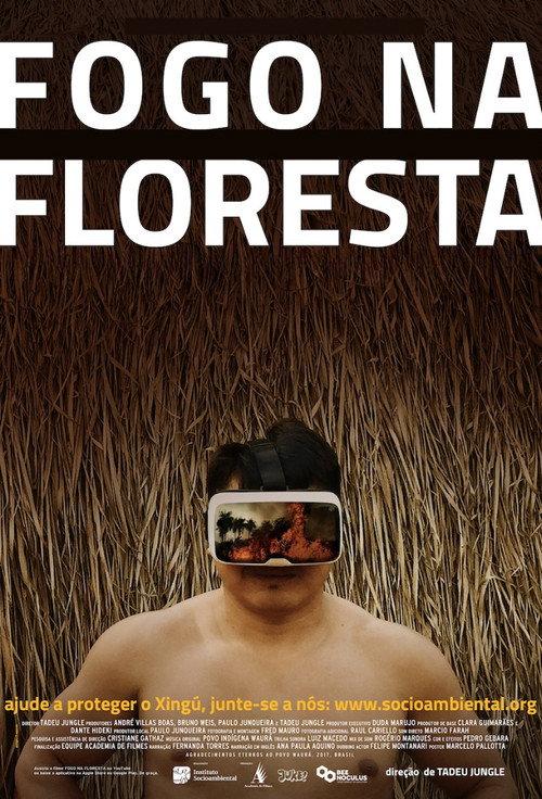 Fogo na Floresta