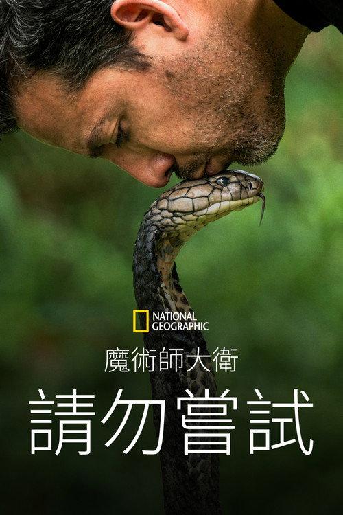 大卫·布雷恩:请勿尝试