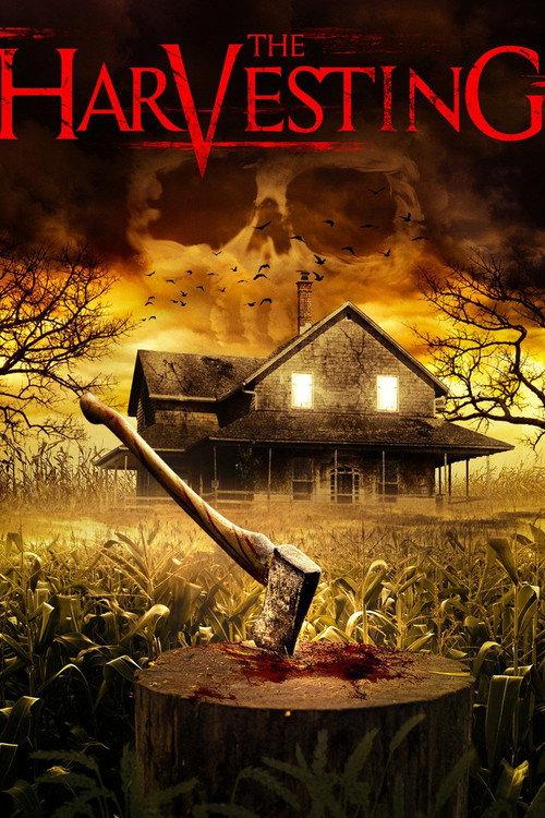 阴宅:圣约