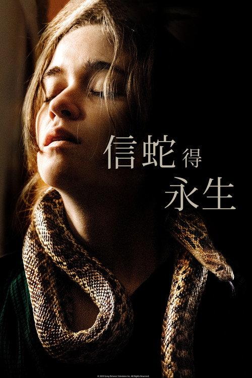 追随者