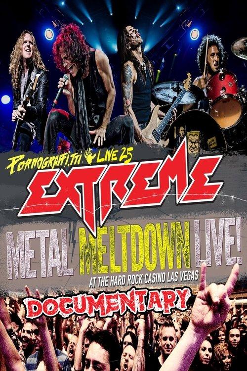 Extreme: Pornograffitti 发行25周年纪录片