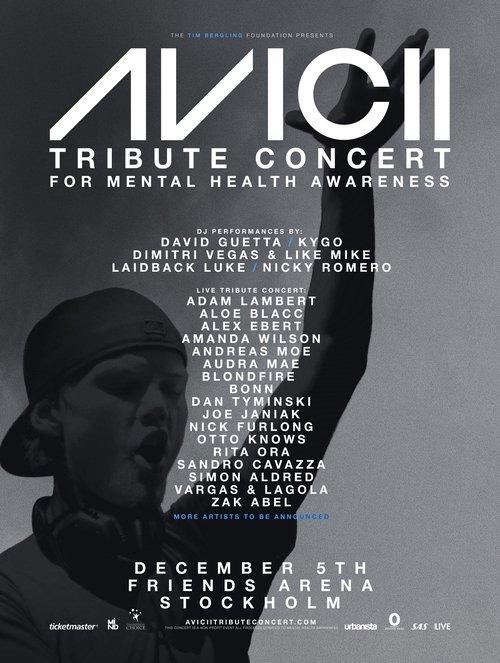 Avicii 致敬音乐会:纪念蒂姆·伯格林