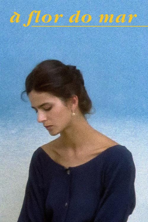 海之花