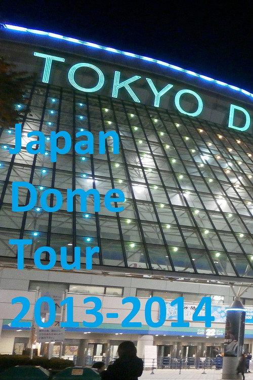 BIGBANG:日本巨蛋巡回演唱会2013-2014