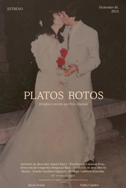 Platos Rotos
