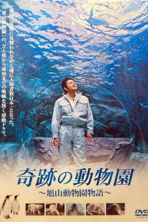 奇迹动物园