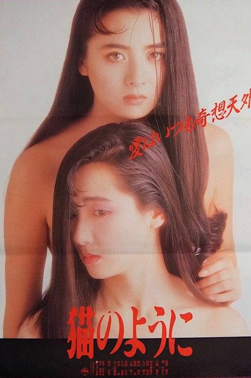像猫一样生活