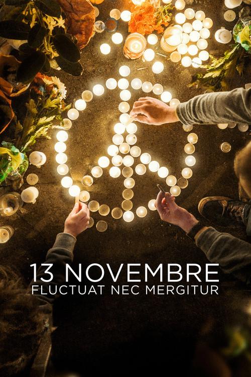 案发11月:巴黎袭击事件