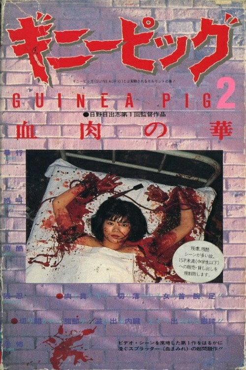 豚鼠2:血肉之花