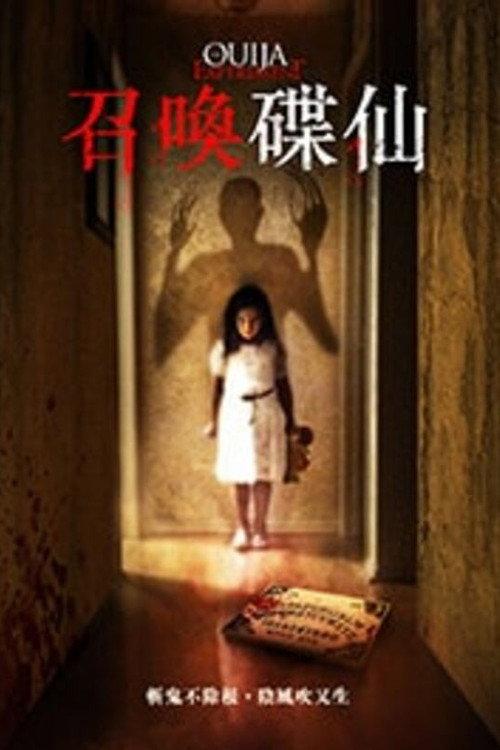 占卜实验1