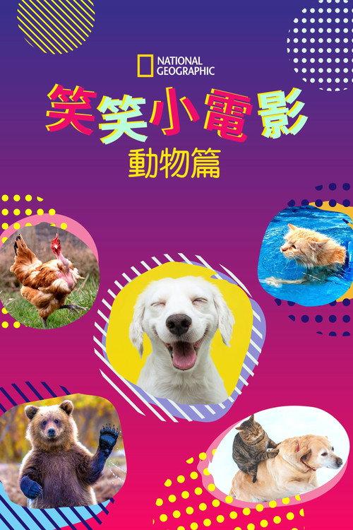 笑笑小电影:动物篇