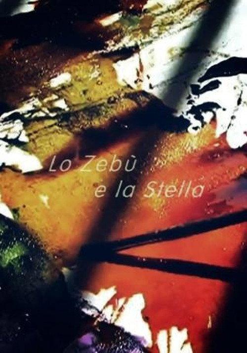 Lo zebù e la stella