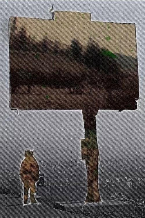 There's a Signal From the Noise, but There's no Noise