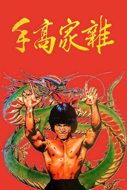 杂家高手