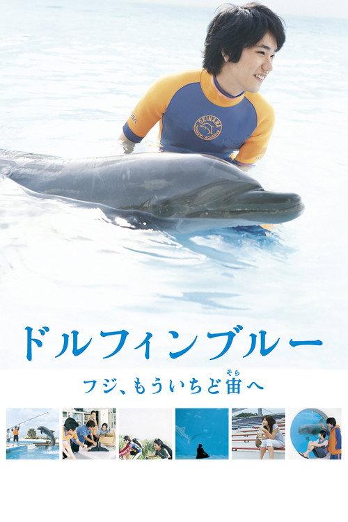 蓝海豚富士